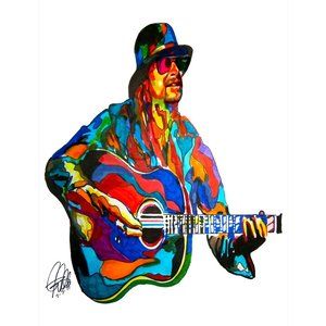 Kid Rock Singer Guitar Rap Rock Music Poster Print Tribute Wall Art 18X24